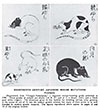 Eighteenth Century Japanese Guide-book Mice 1935
