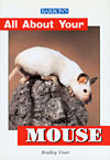 All About Your Mouse