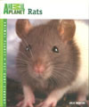 Animal Planet Rats
