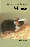 How to Care for Your Mouse