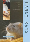 Fancy Rats: Purchase, Care, Diet, Behavior, Accommodation
