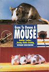 Guide to Owning a Mouse