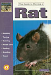 The Guide to Owning A Rat