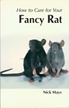 How to Care for Your Fancy Rat