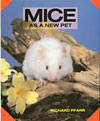 Mice As A New Pet
