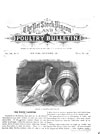 The Pet Stock, Pigeon, and Poultry Bulletin Sept. 1881