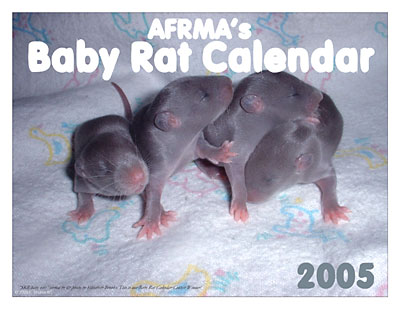 2005 Baby Rat Calendar