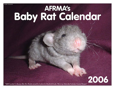 2006 Baby Rat Calendar