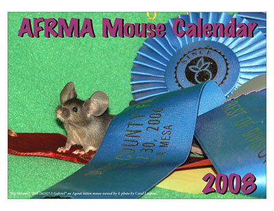 2008 Mouse Calendar