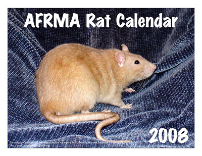 2008 Rat Calendar