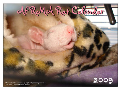 2009 Rat Calendar