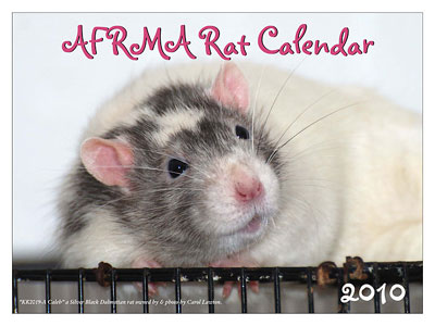 2010 Rat Calendar