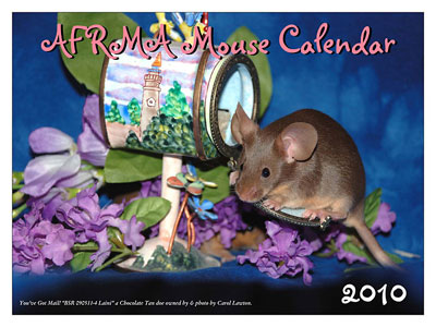 2010 Mouse Calendar