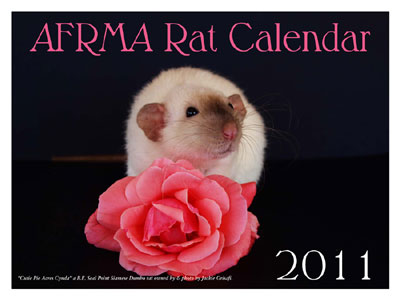 2011 Rat Calendar