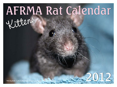 2012 Rat Kittens Calendar