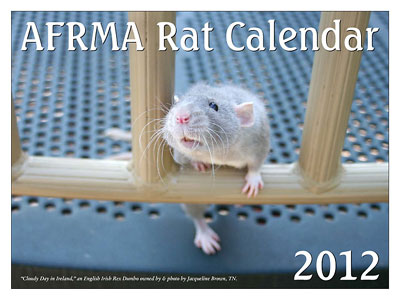 2012 Rat Theme Calendar