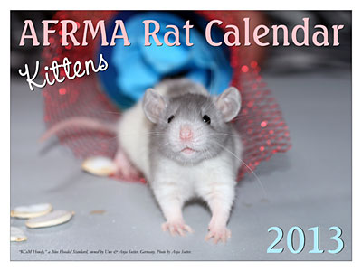 2013 Rat Kittens Calendar