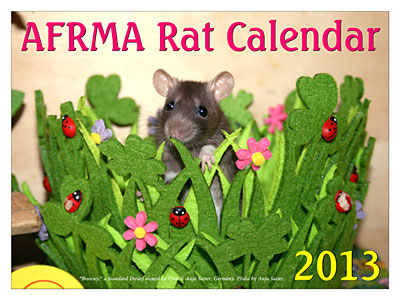 2013 Rat Calendar