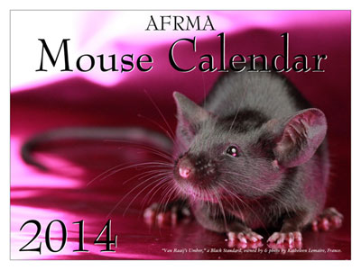 2014 Mouse Calendar
