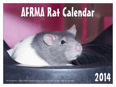 2014 Rat Calendar