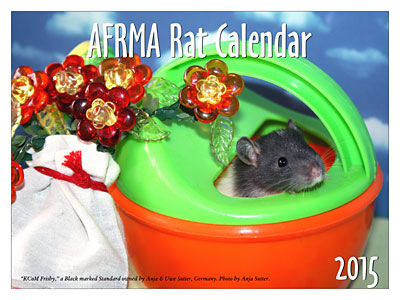 2015 Rat Calendar