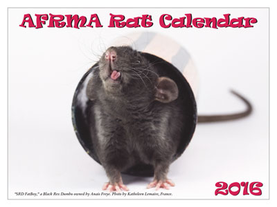 2016 Rat Calendar