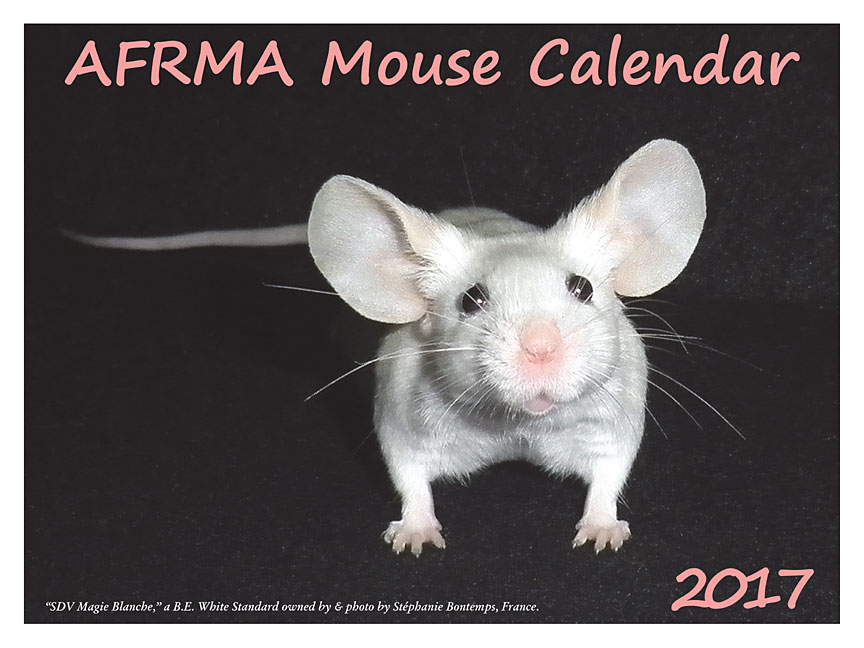 2017 Mouse Calendar