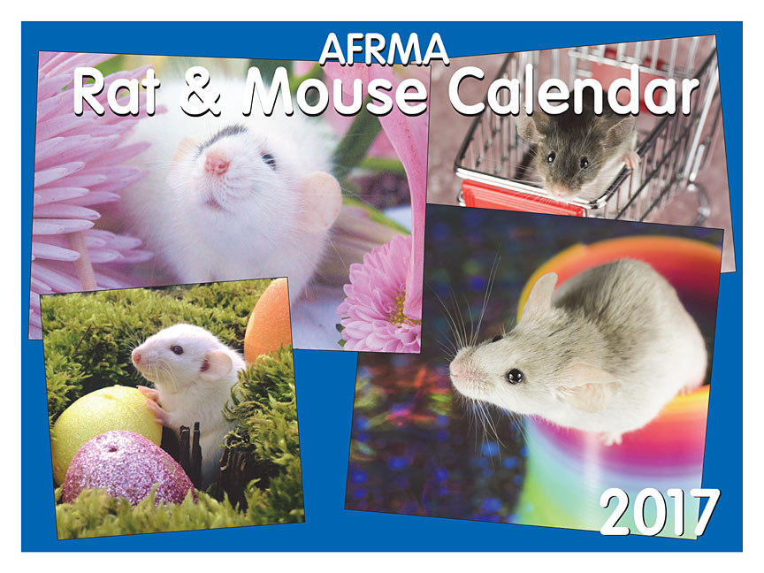 2017 Rat & Mouse Calendar