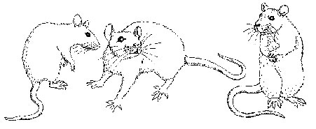 The Rodent Club logo