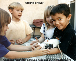 Four kids with rats
