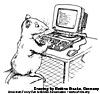 Rat at Computer