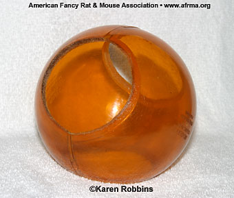 An amber Bio-Serv Crawl Ball.
