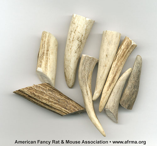 Bone-A-Fide antler chews