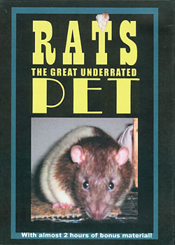Rats DVD cover