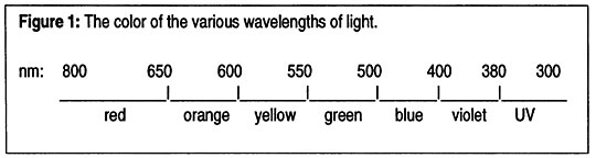 Figure 1 - Colors of wavelengths of light