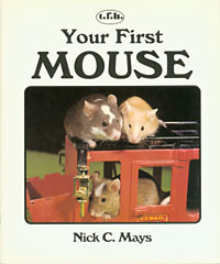 Your First Mouse cover