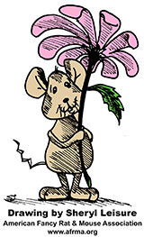 Spring has Sprung! Spring