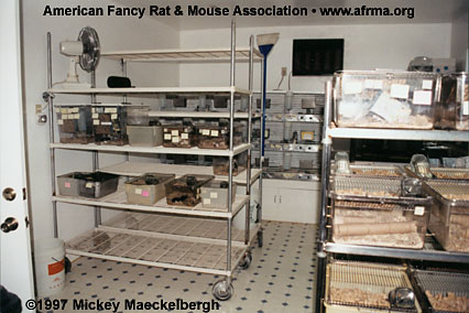 Rodent Room with more cages