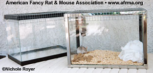 Mouse Cage