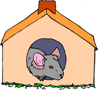 Mouse in House