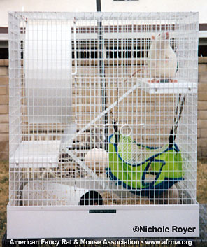 Fern 960 cage