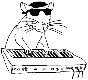 Rat playing piano