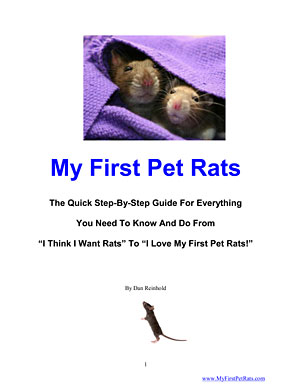 My First Pet Rats cover