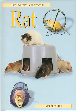 Pet Owner’s Guid to the Rat