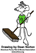 Sweeping rat