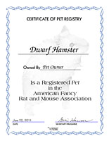 Dwarf Hamster Certificate
