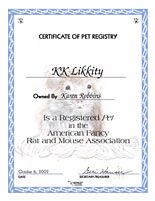 Pet Rat Certificate