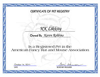 Cute Rat Certificate