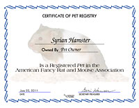 Syrian Hamster Certificate