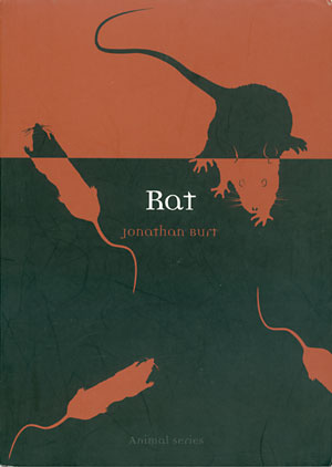 Rat: Animal Series cover